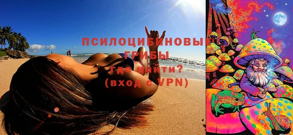 ГАЛЛЮЦИНОГЕННЫЕ ГРИБЫ Нефтегорск