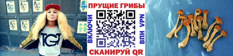 Псилоцибиновые грибы Magic Shrooms  как найти закладки  Южноуральск 